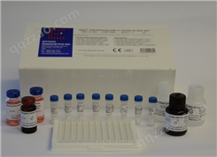 小鼠二级淋巴组织趋化因子（SLC/CCL21）检测试剂盒