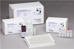 人B细胞活化因子（BAFF/CD257/TNFSF13B）检测试剂盒