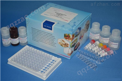 人降钙素（CT）ELISA试剂盒